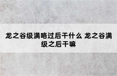 龙之谷级满咯过后干什么 龙之谷满级之后干嘛